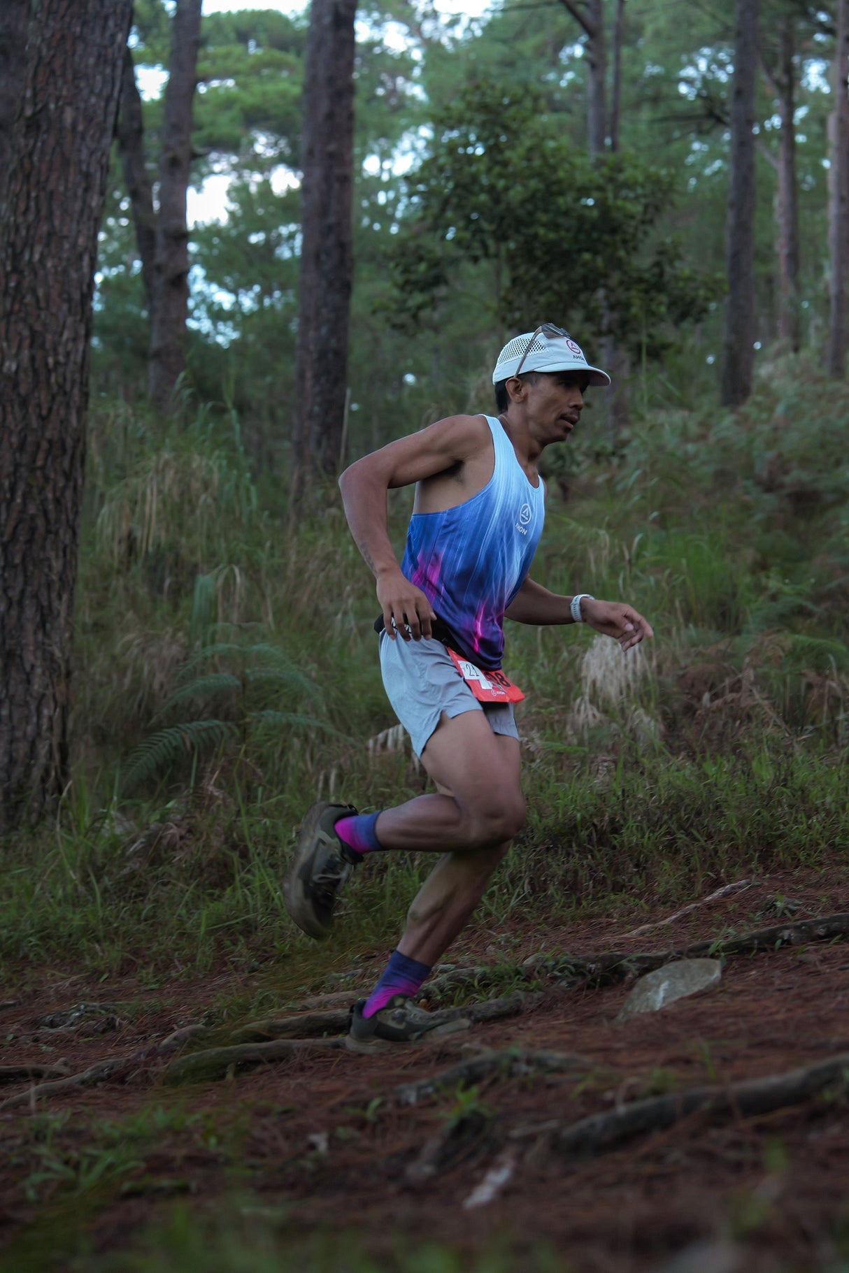 Fatek Evo FL Singlet